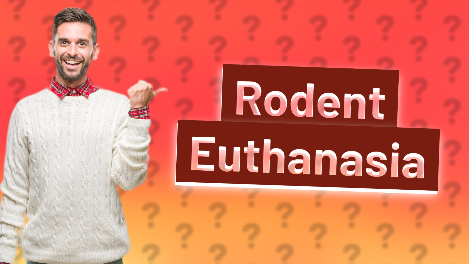 Rodent Euthanasia