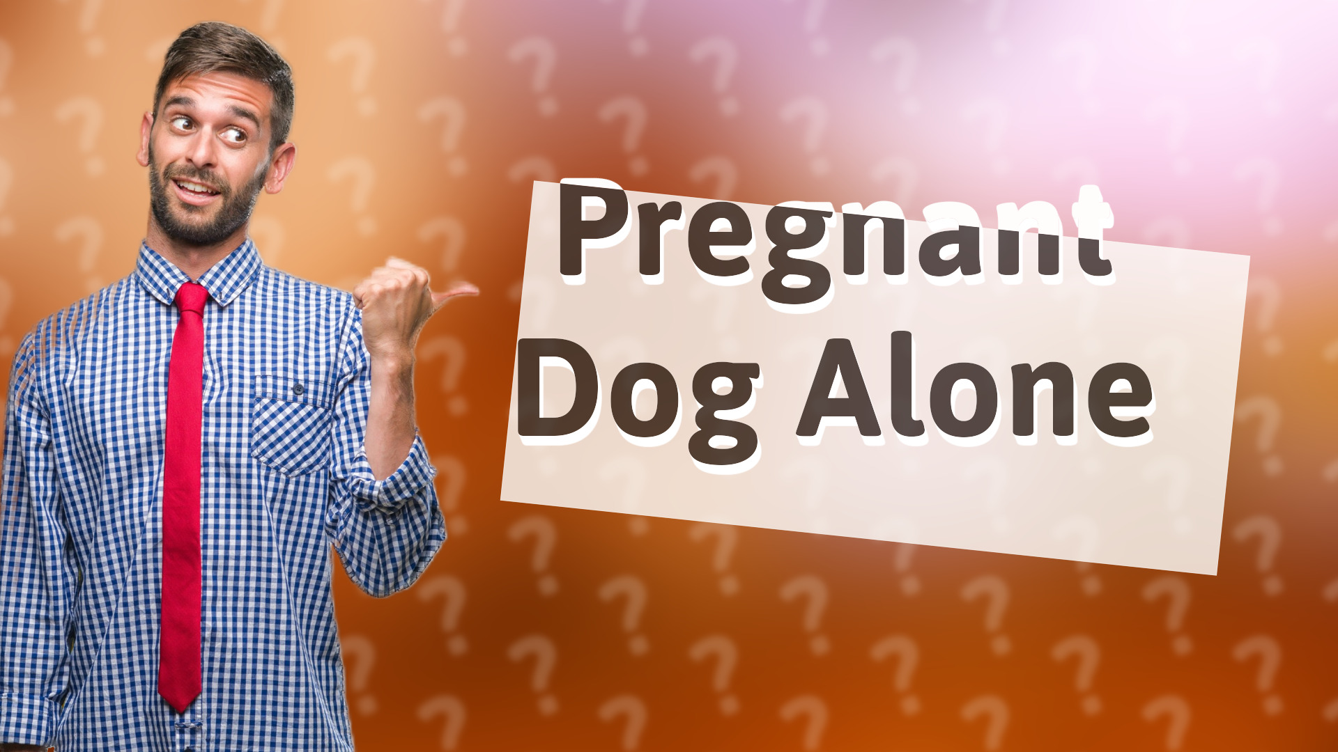 Pregnant Dog Alone