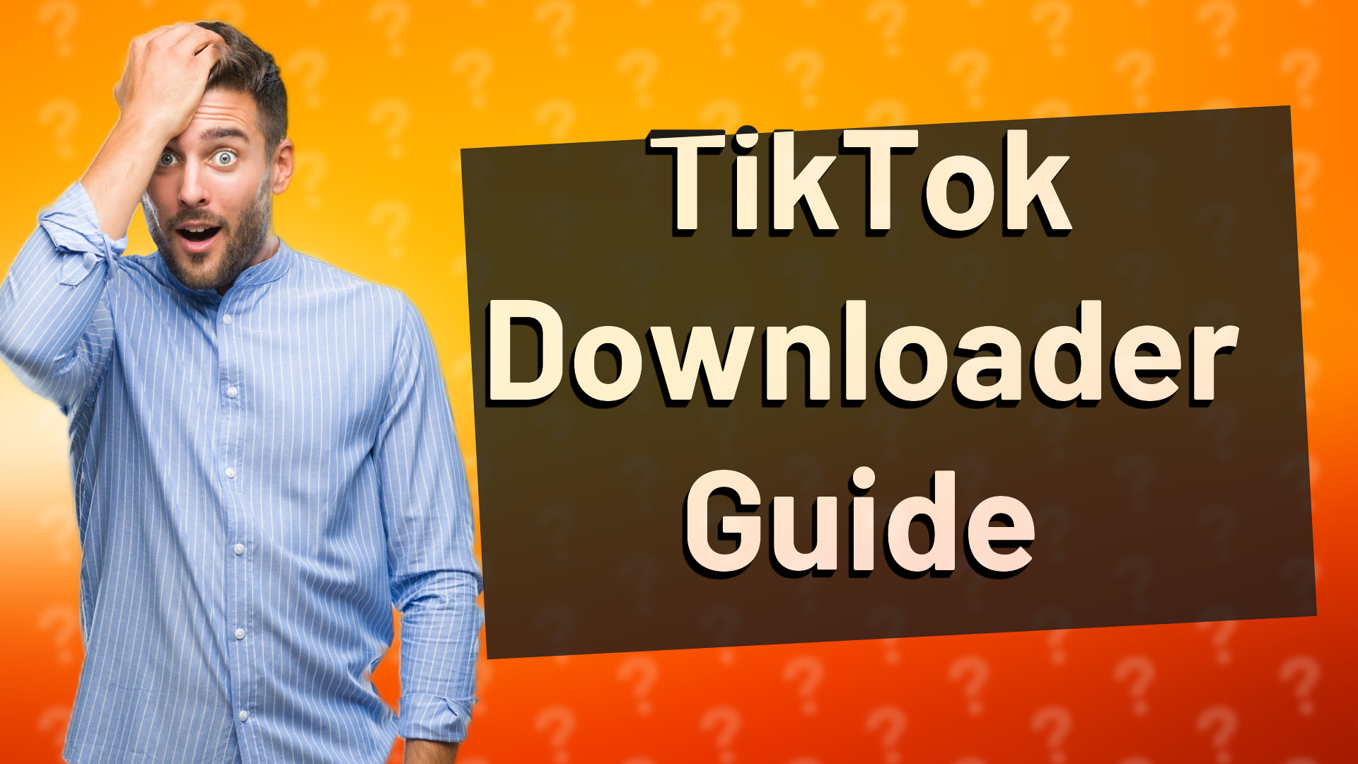 TikTok Downloader Guide
