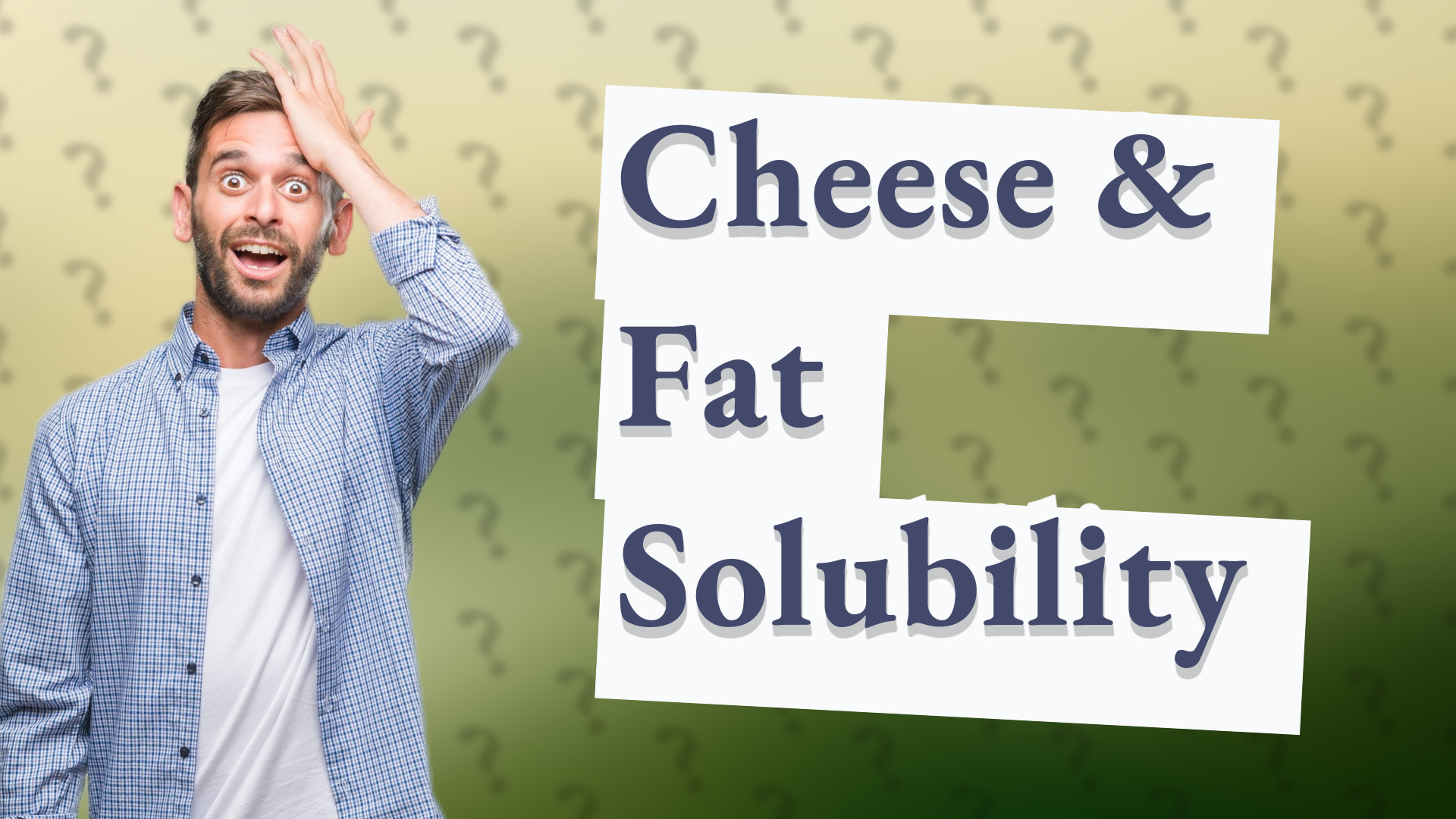 Cheese & Fat Solubility