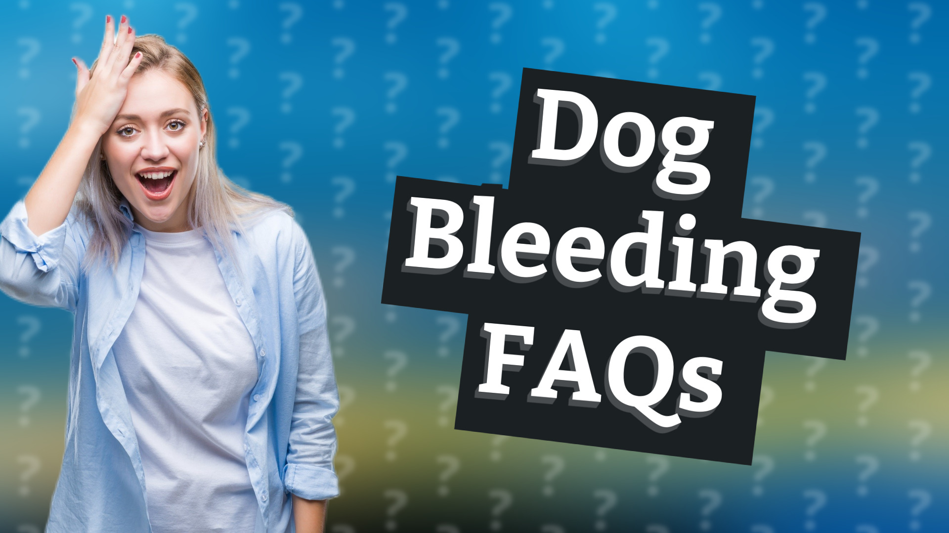 Dog Bleeding FAQs