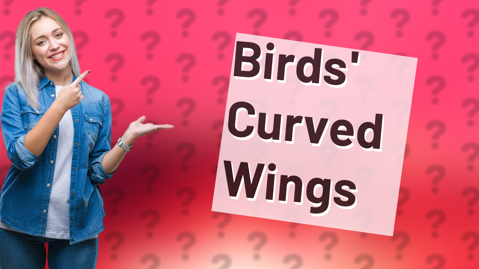 Birds' Curved Wings