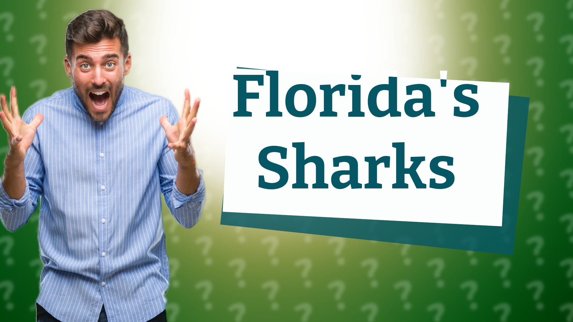 Florida's Sharks