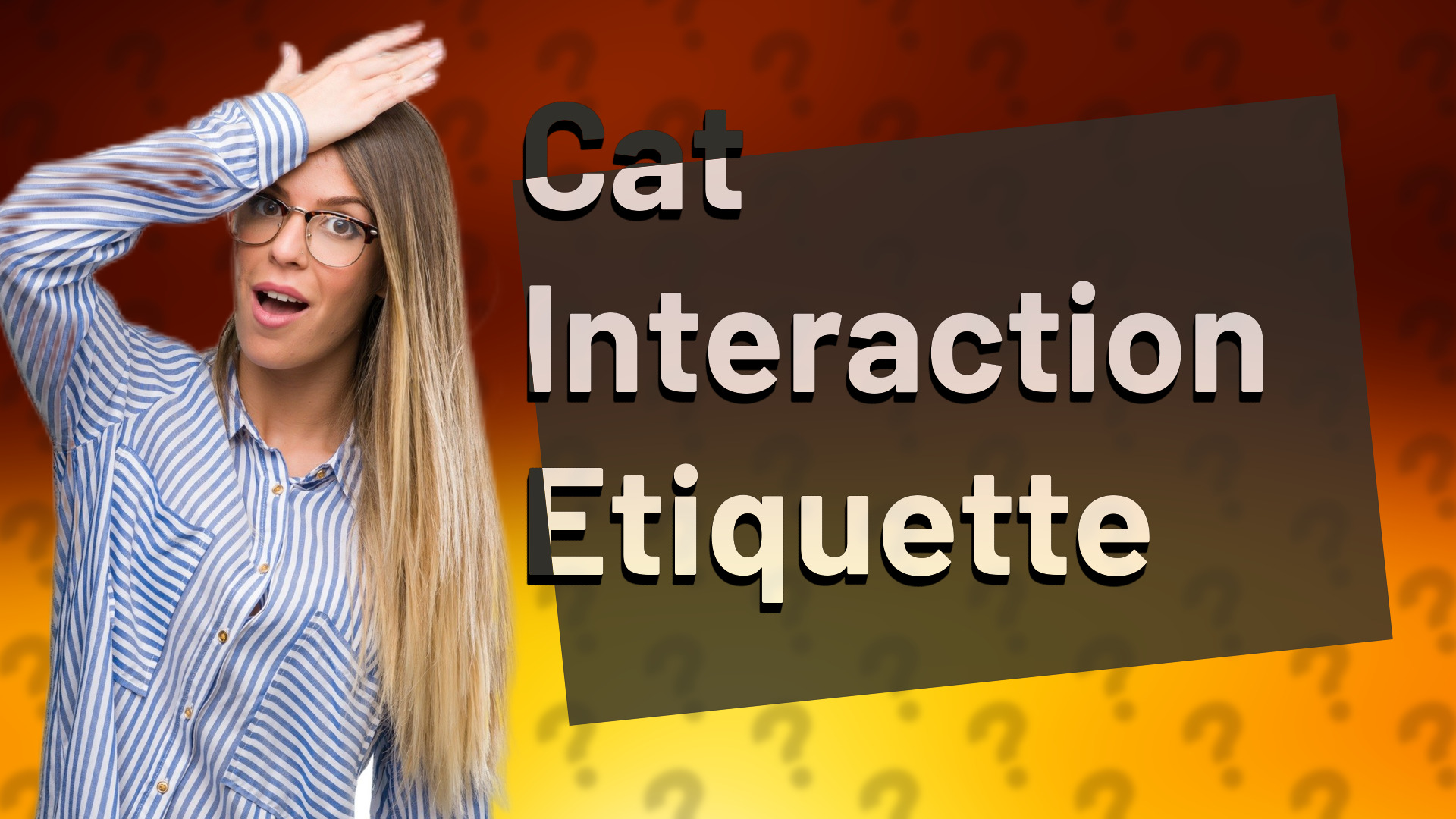 Cat Interaction Etiquette