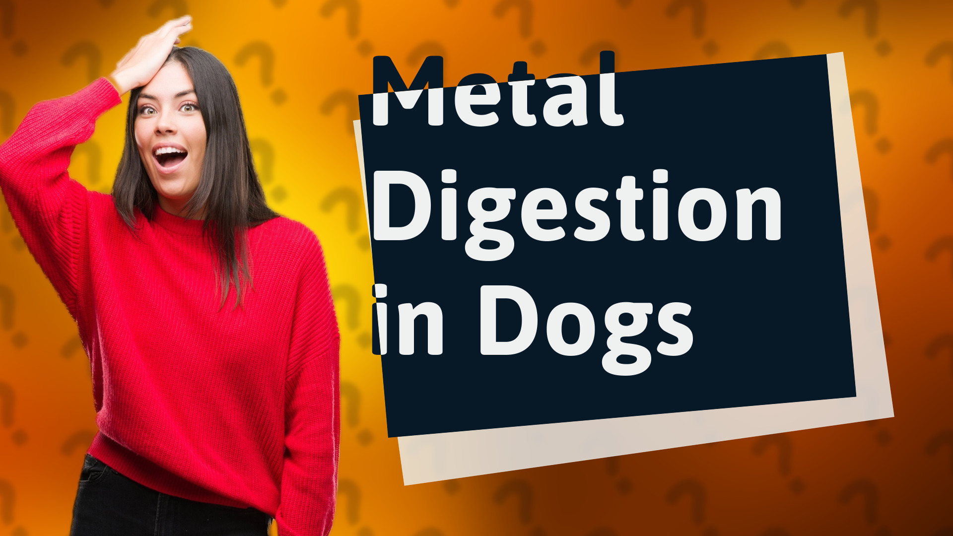 Metal Digestion in Dogs