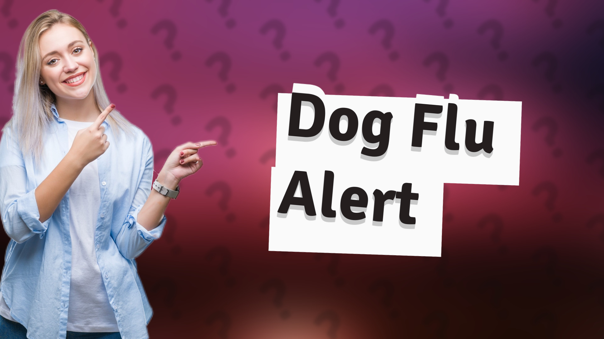 Dog Flu Alert