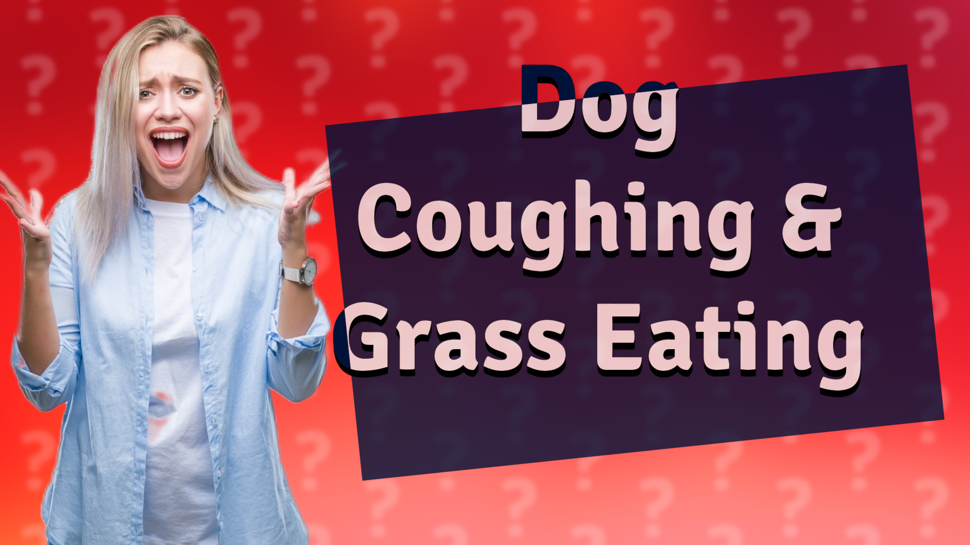Dog Coughing & Grass Eating
