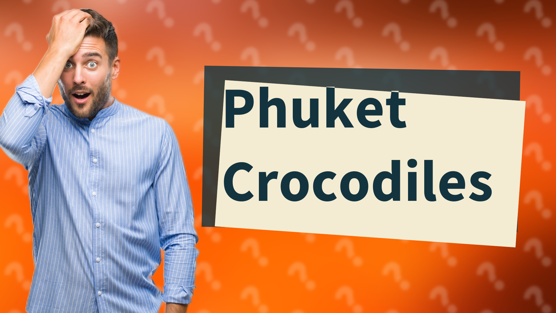 Phuket Crocodiles