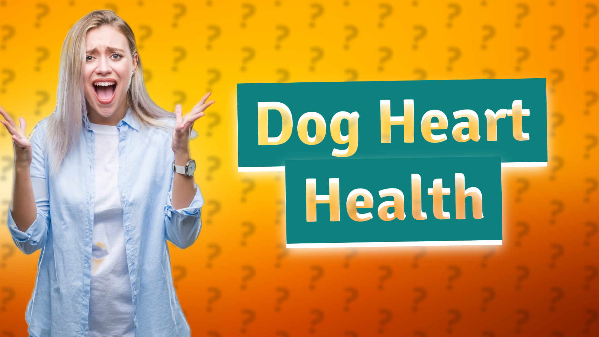 Dog Heart Health