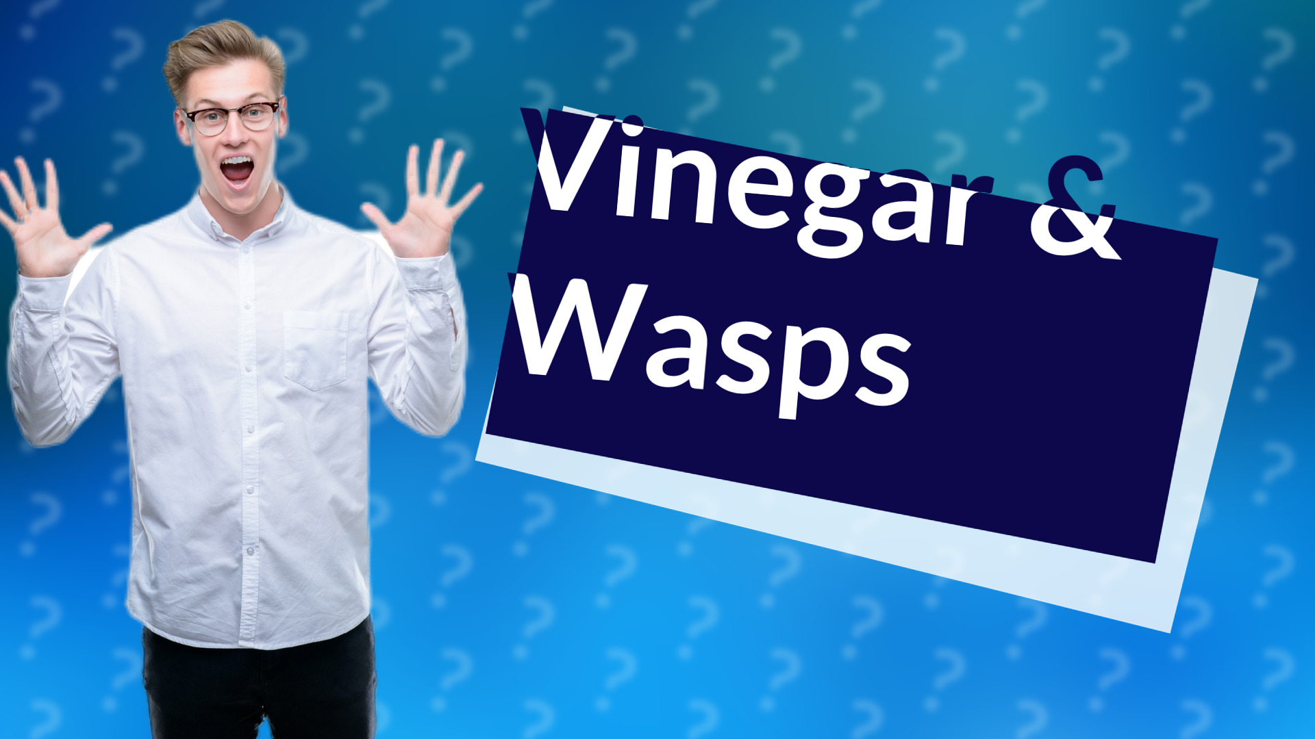Vinegar & Wasps