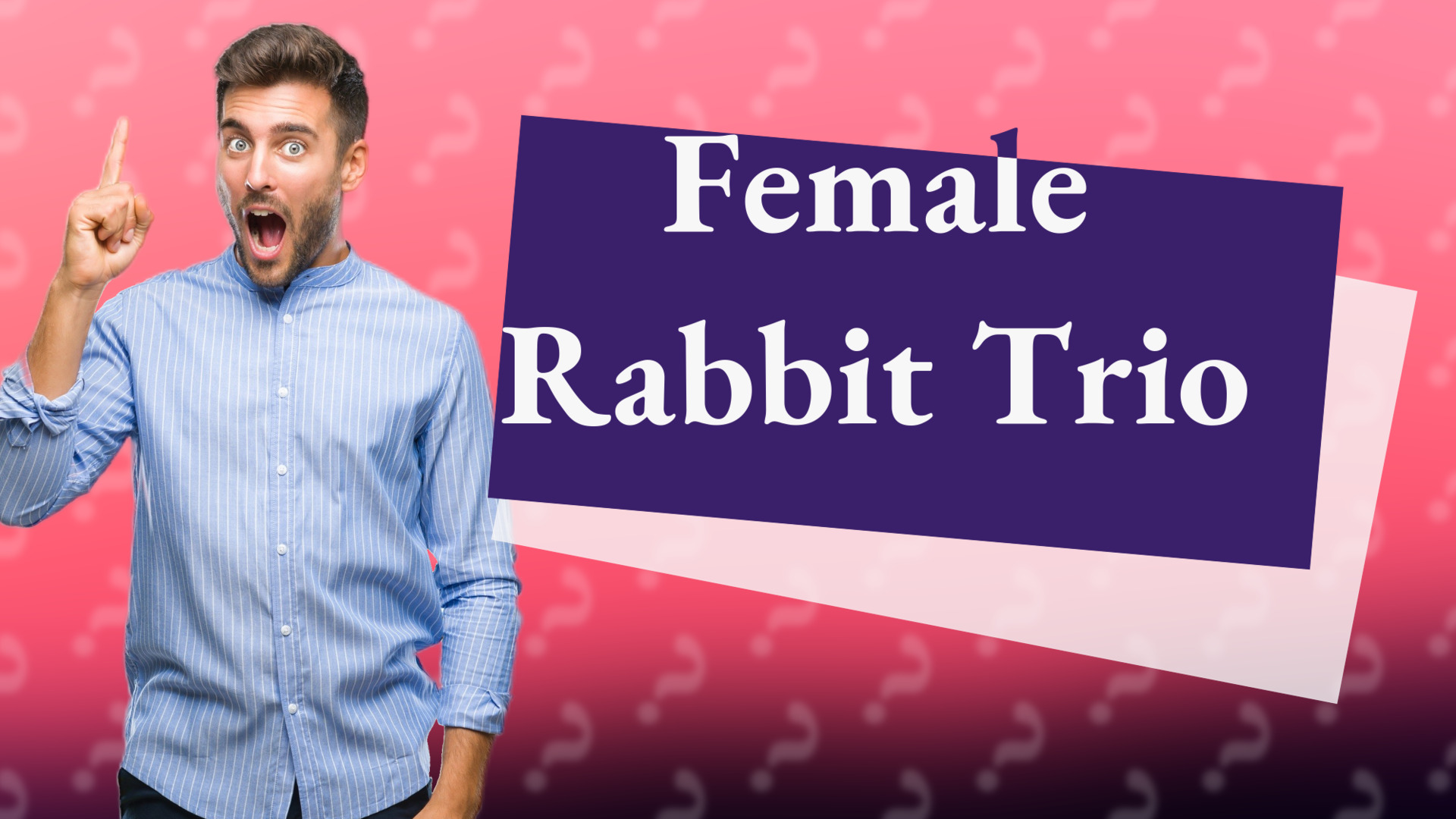Female Rabbit Trio