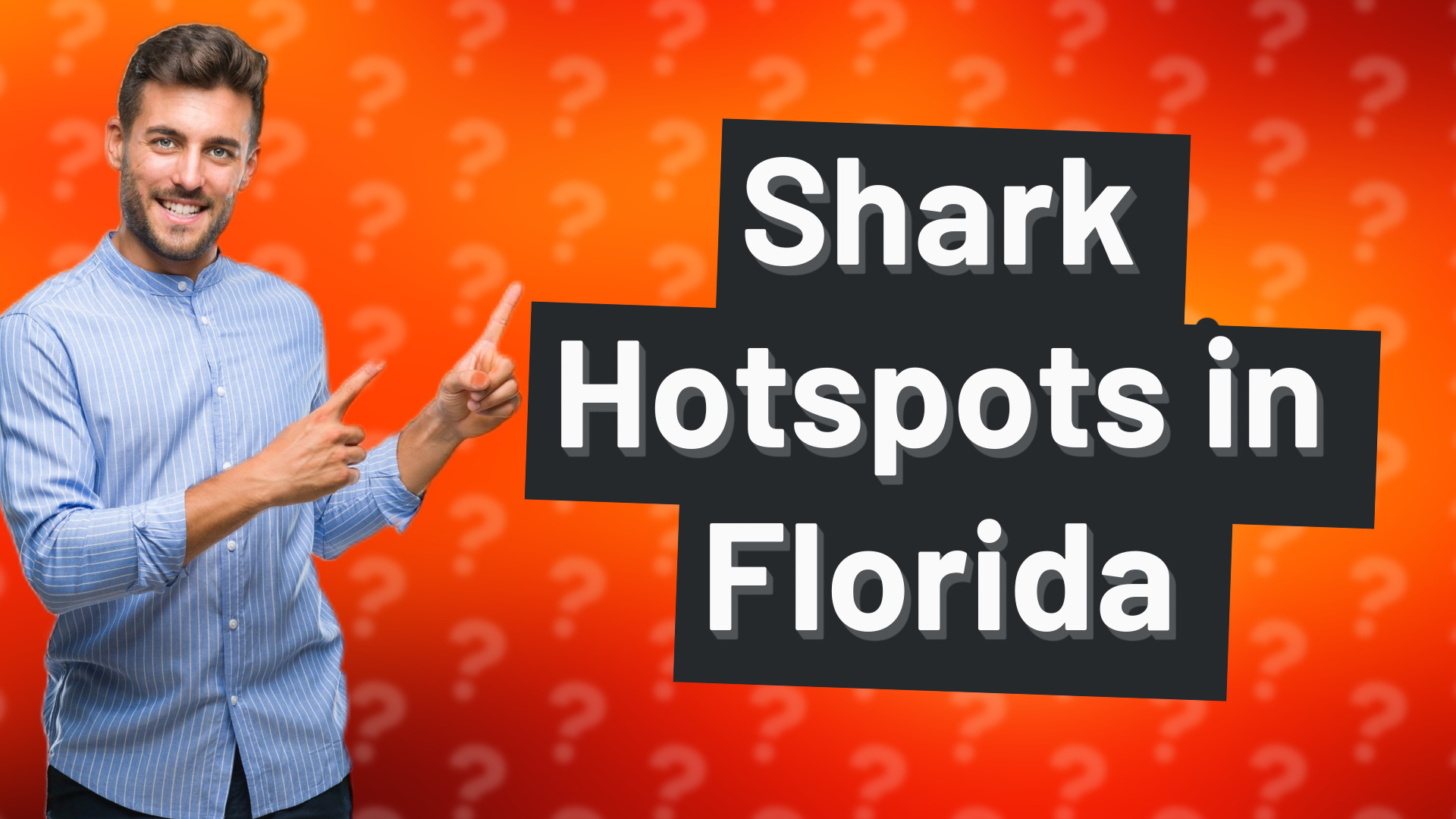 Shark Hotspots in Florida