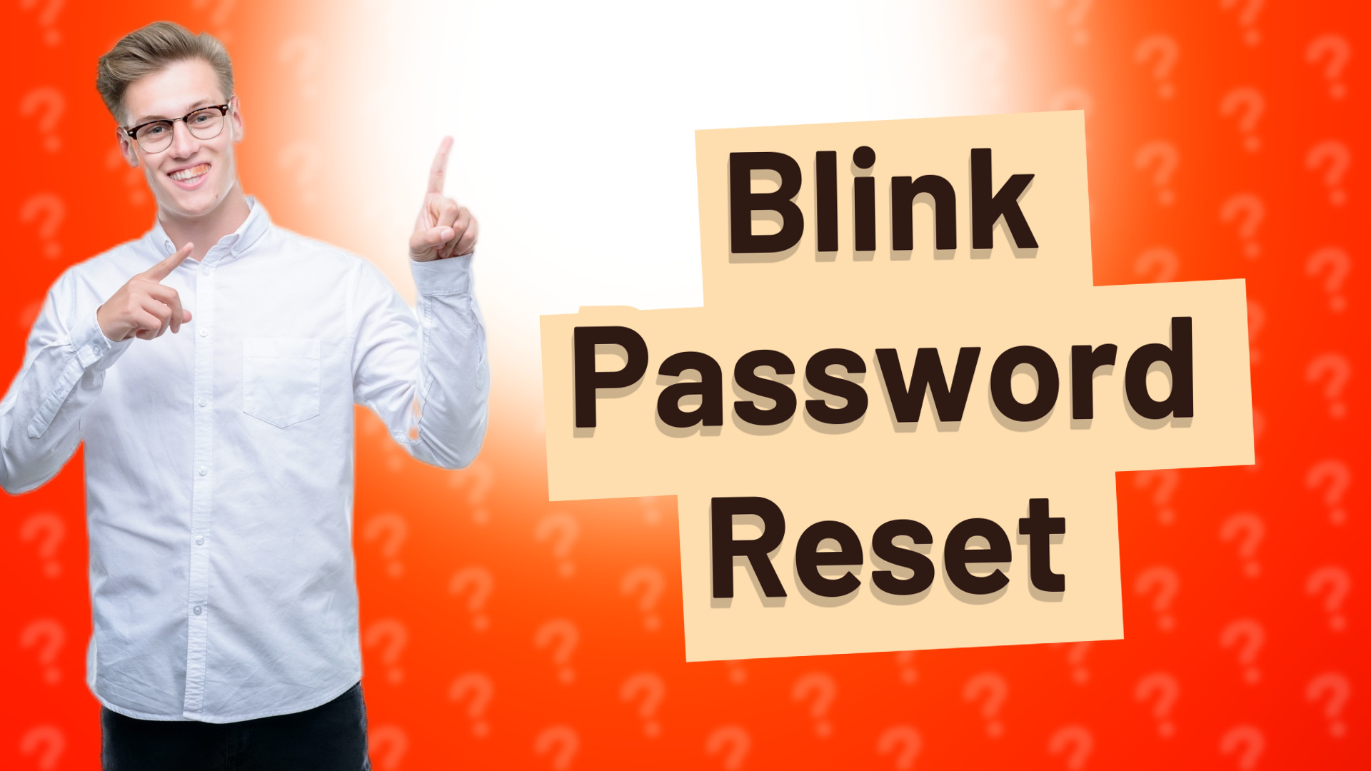 Blink Password Reset