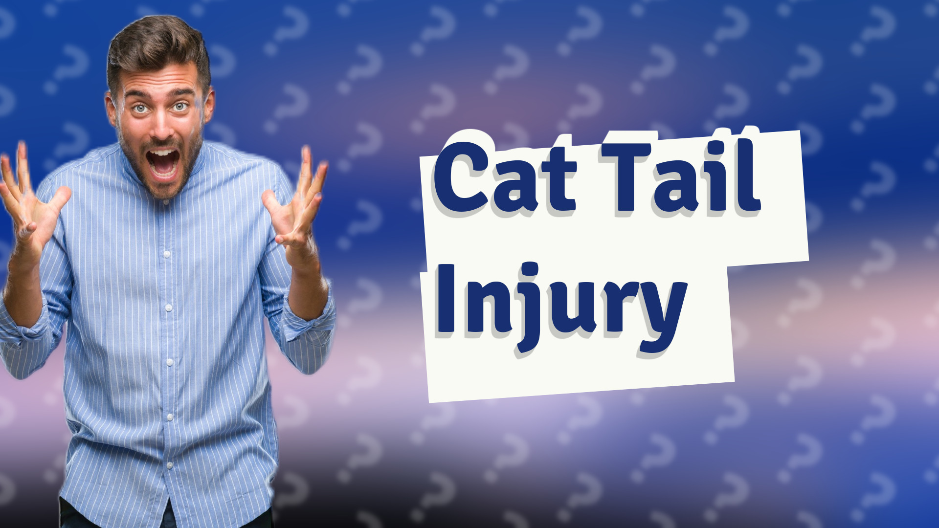 Cat Tail Injury