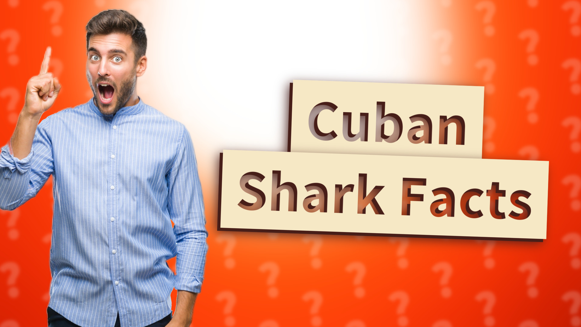 Cuban Shark Facts