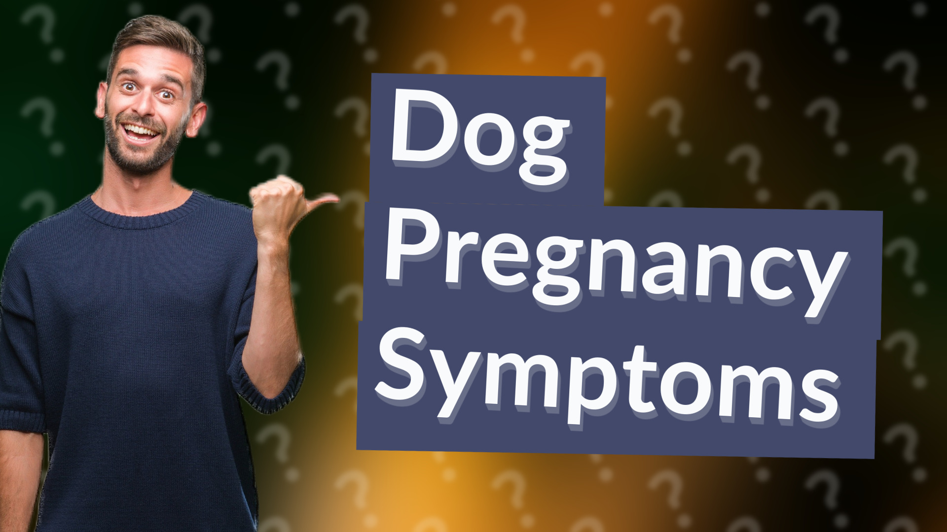 Dog Pregnancy Symptoms