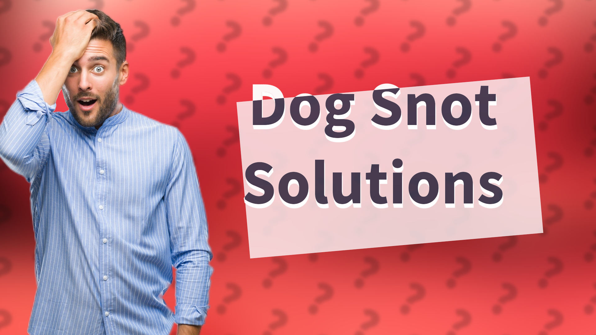 Dog Snot Solutions