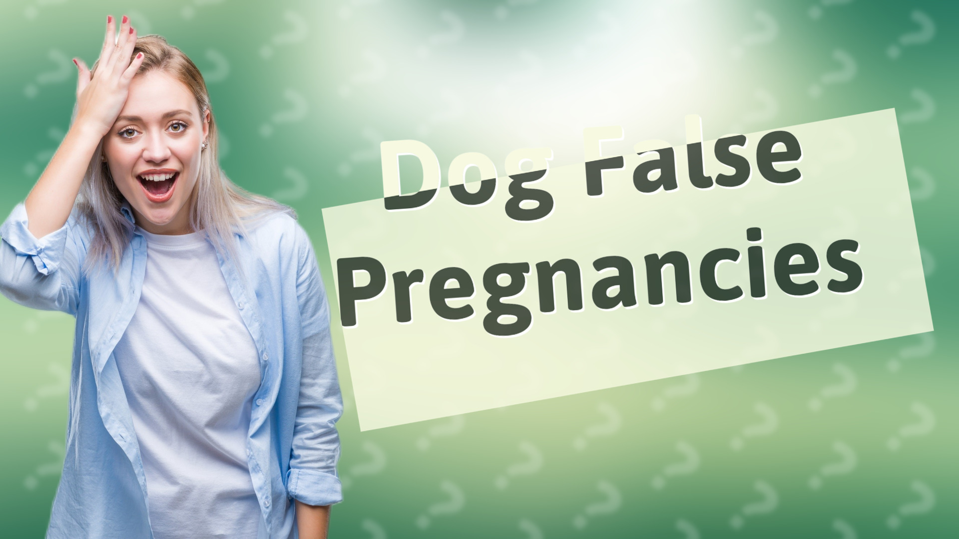 Dog False Pregnancies