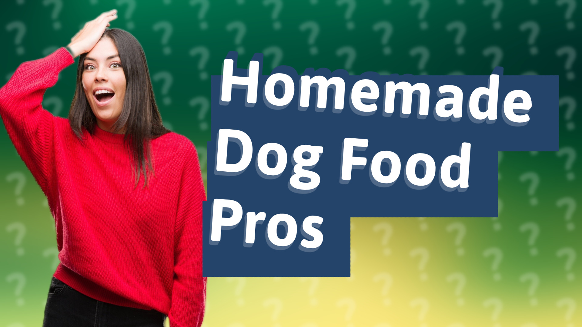 Homemade Dog Food Pros