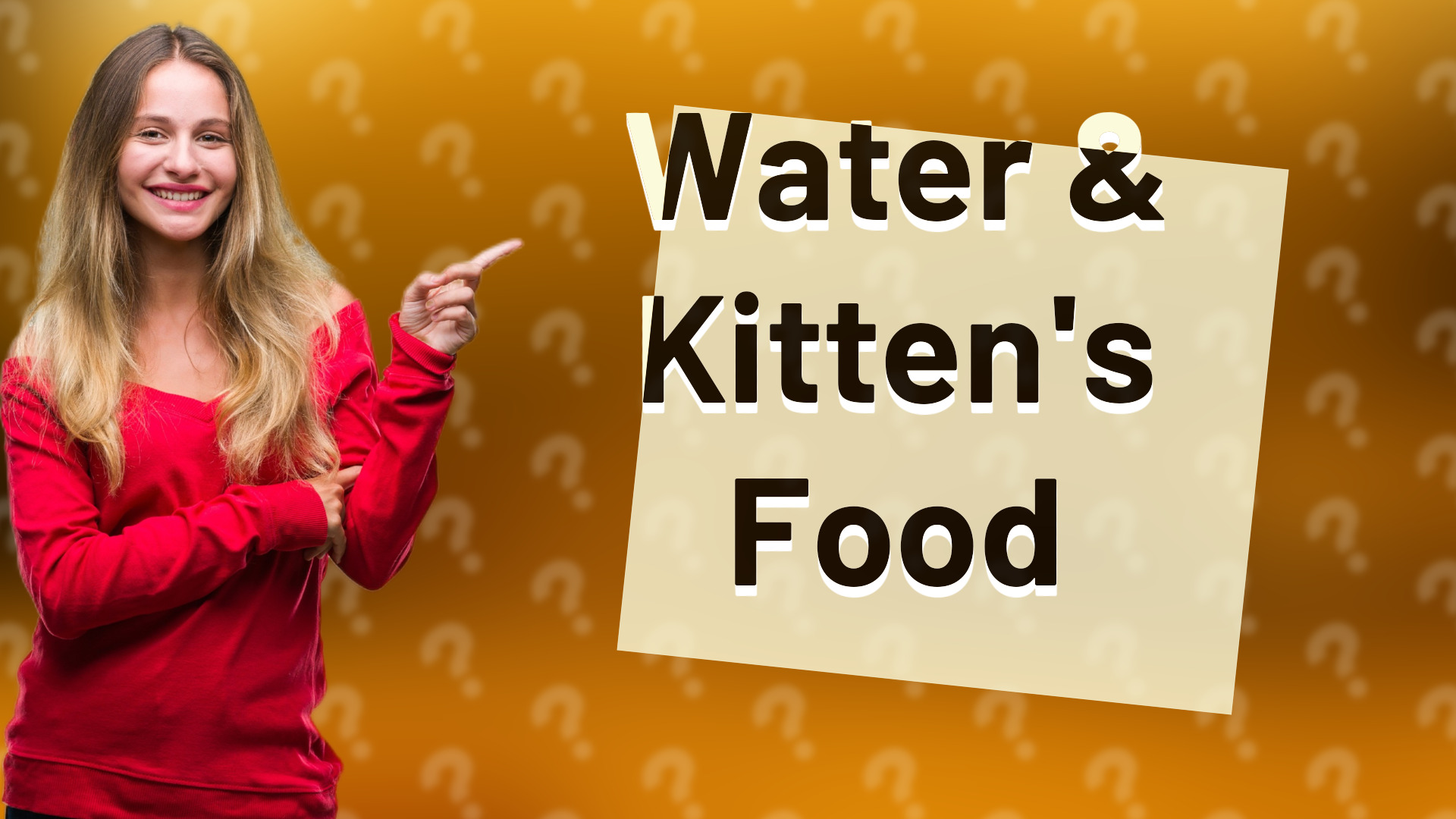 Water & Kitten's Food