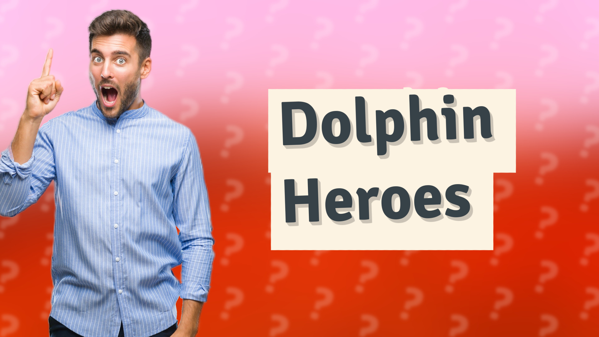 Dolphin Heroes