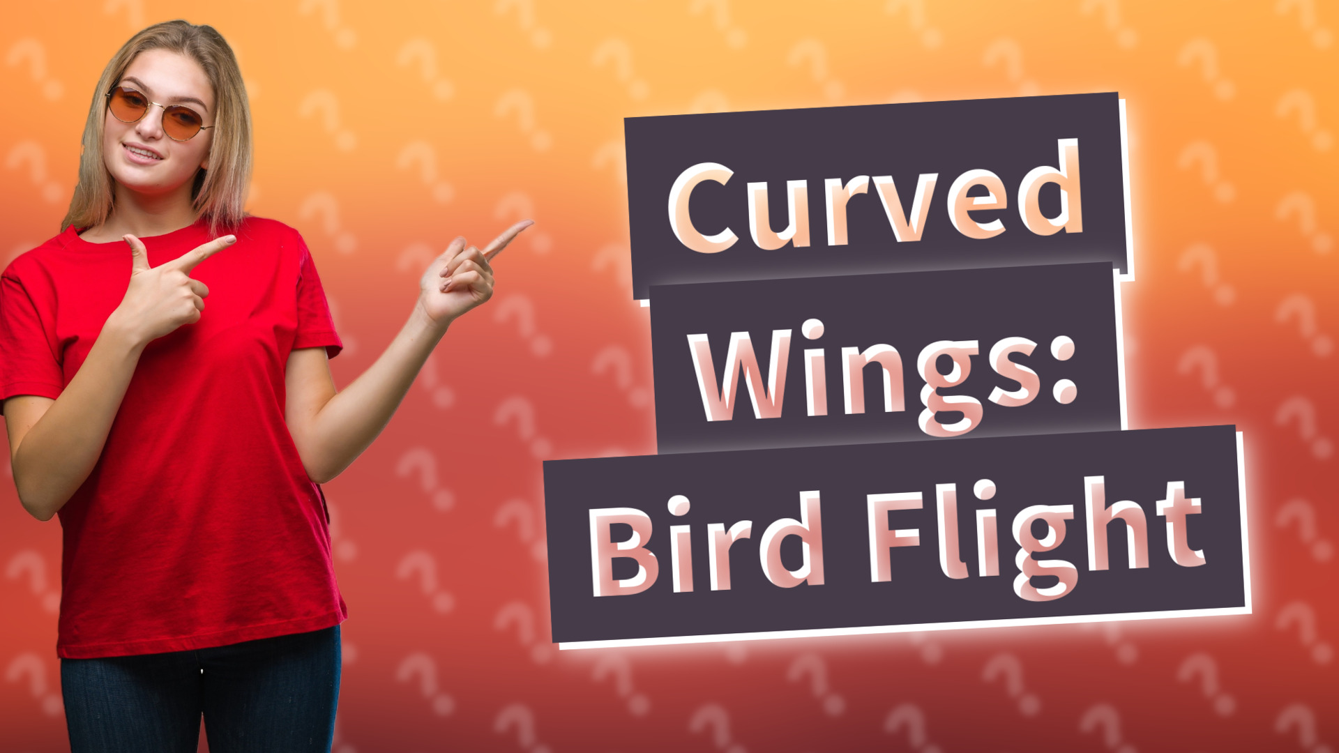 Curved Wings: Bird Flight