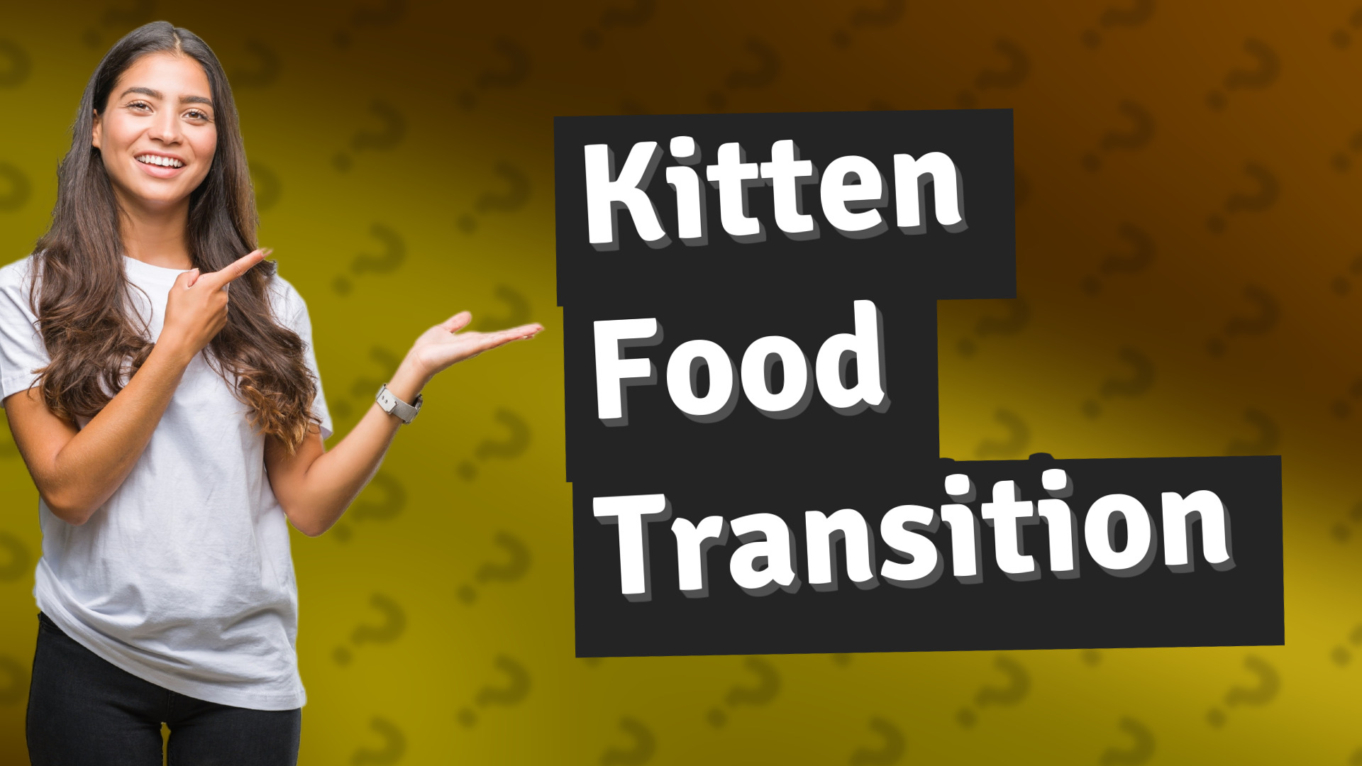 Kitten Food Transition