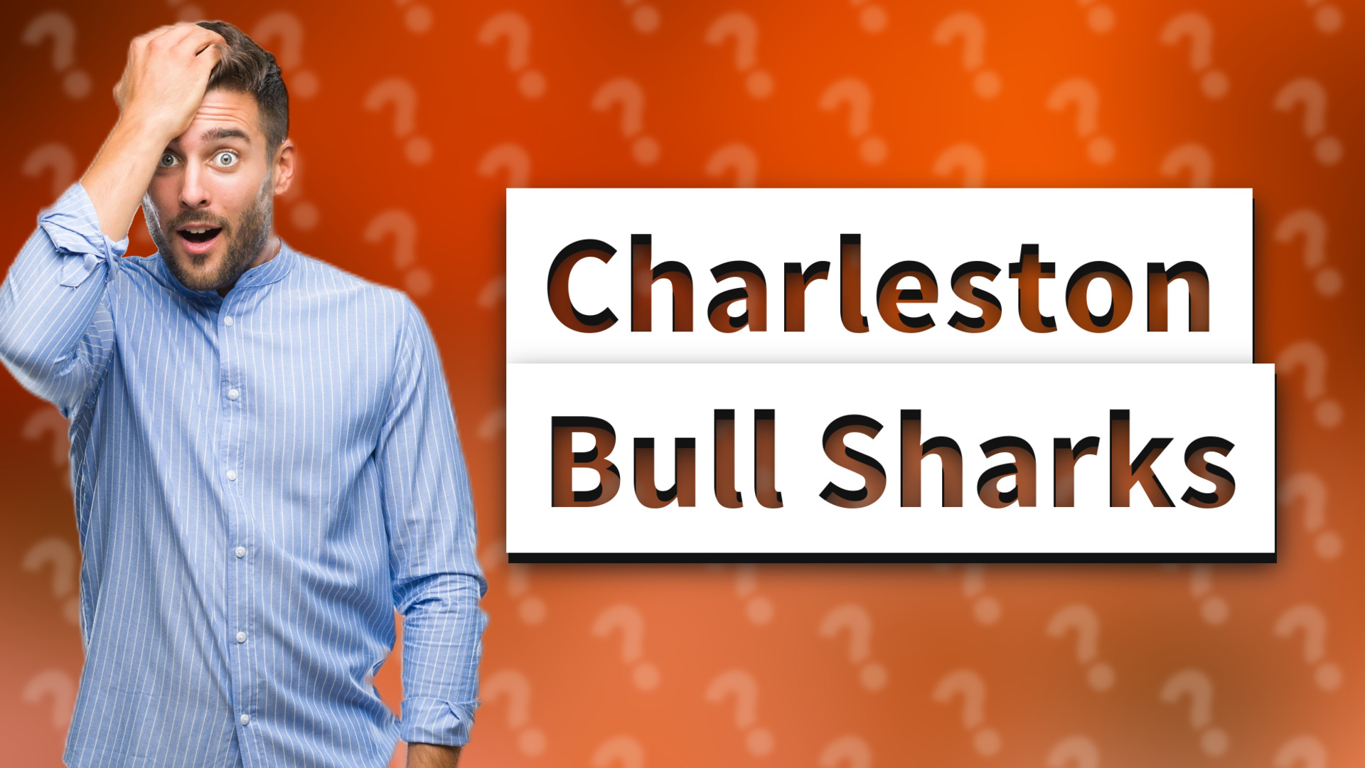 Charleston Bull Sharks