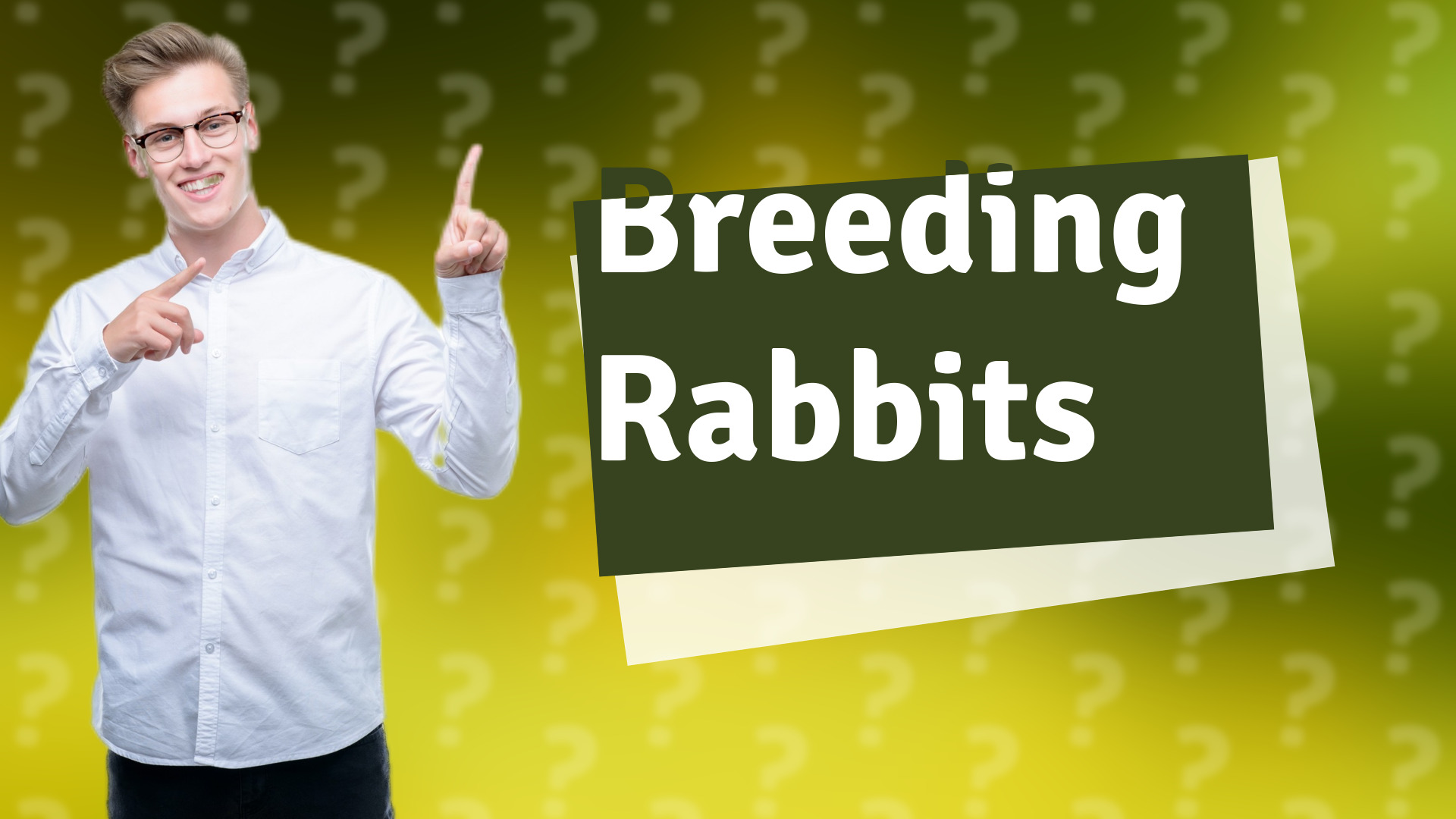 Breeding Rabbits
