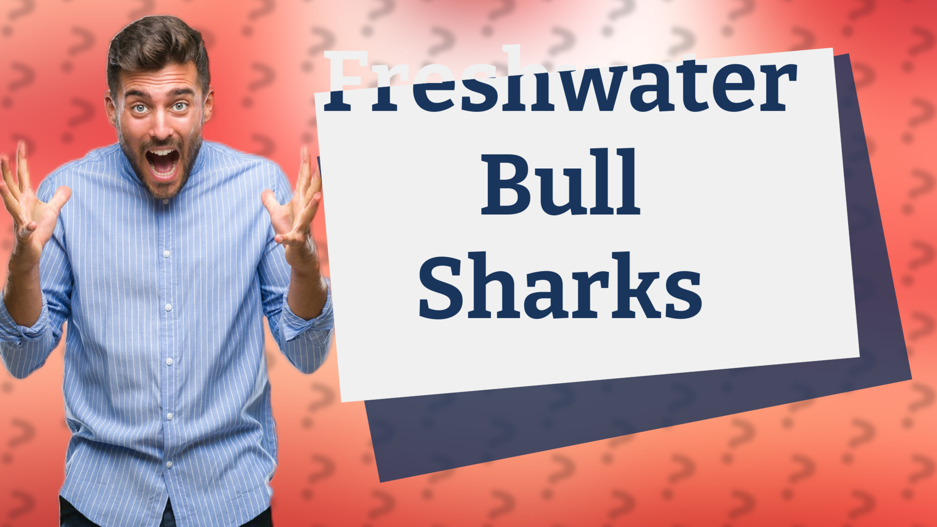 Freshwater Bull Sharks