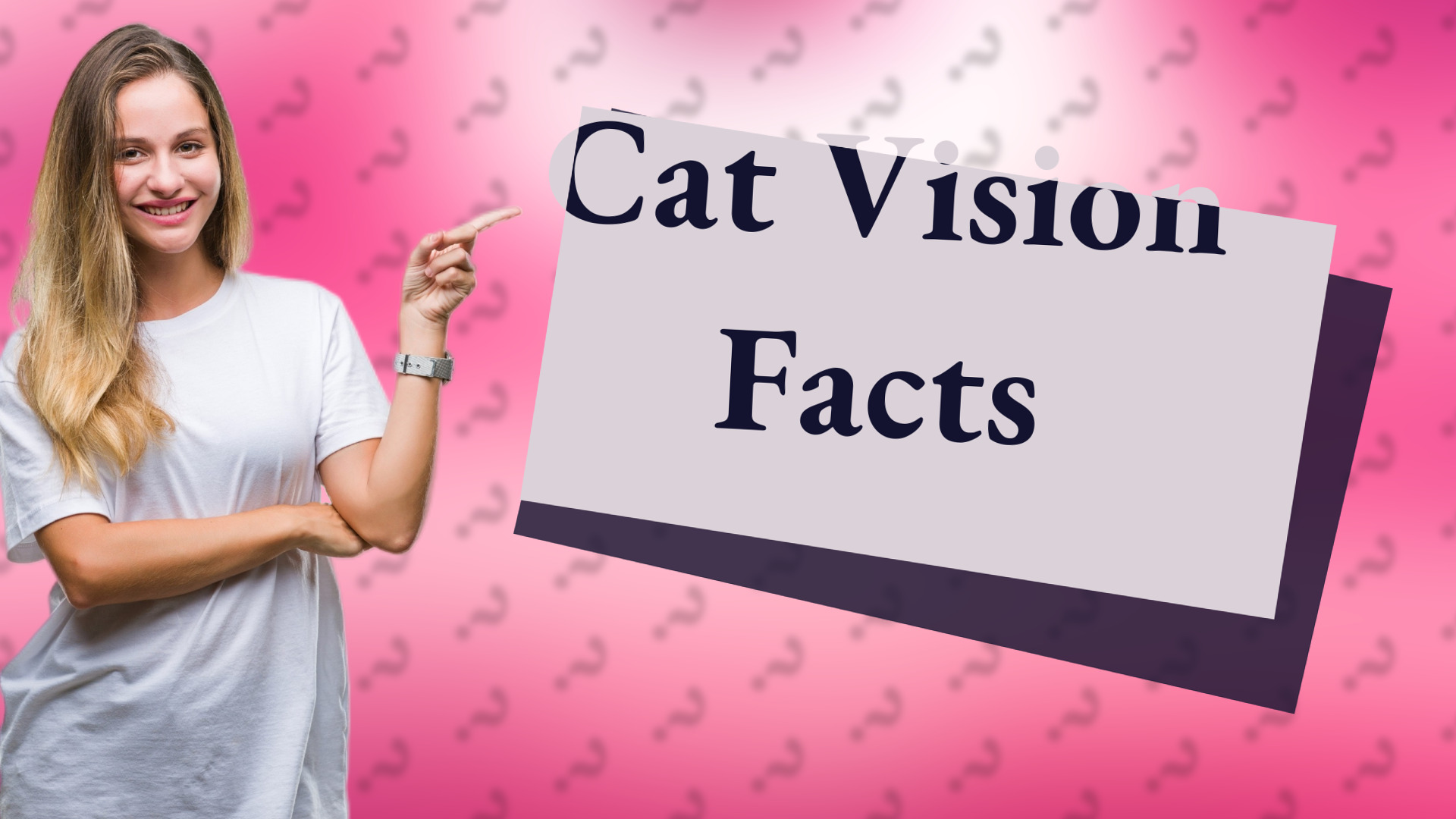 Cat Vision Facts