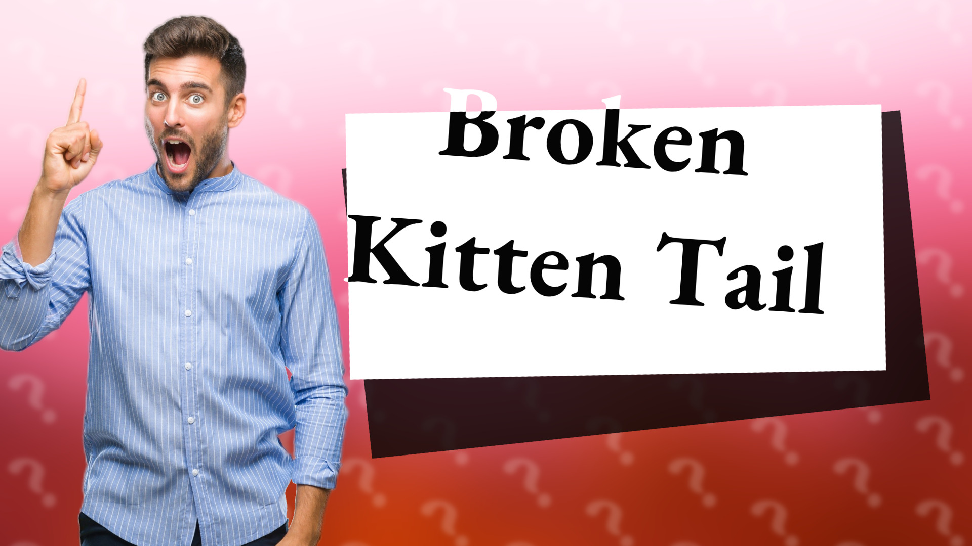 Broken Kitten Tail