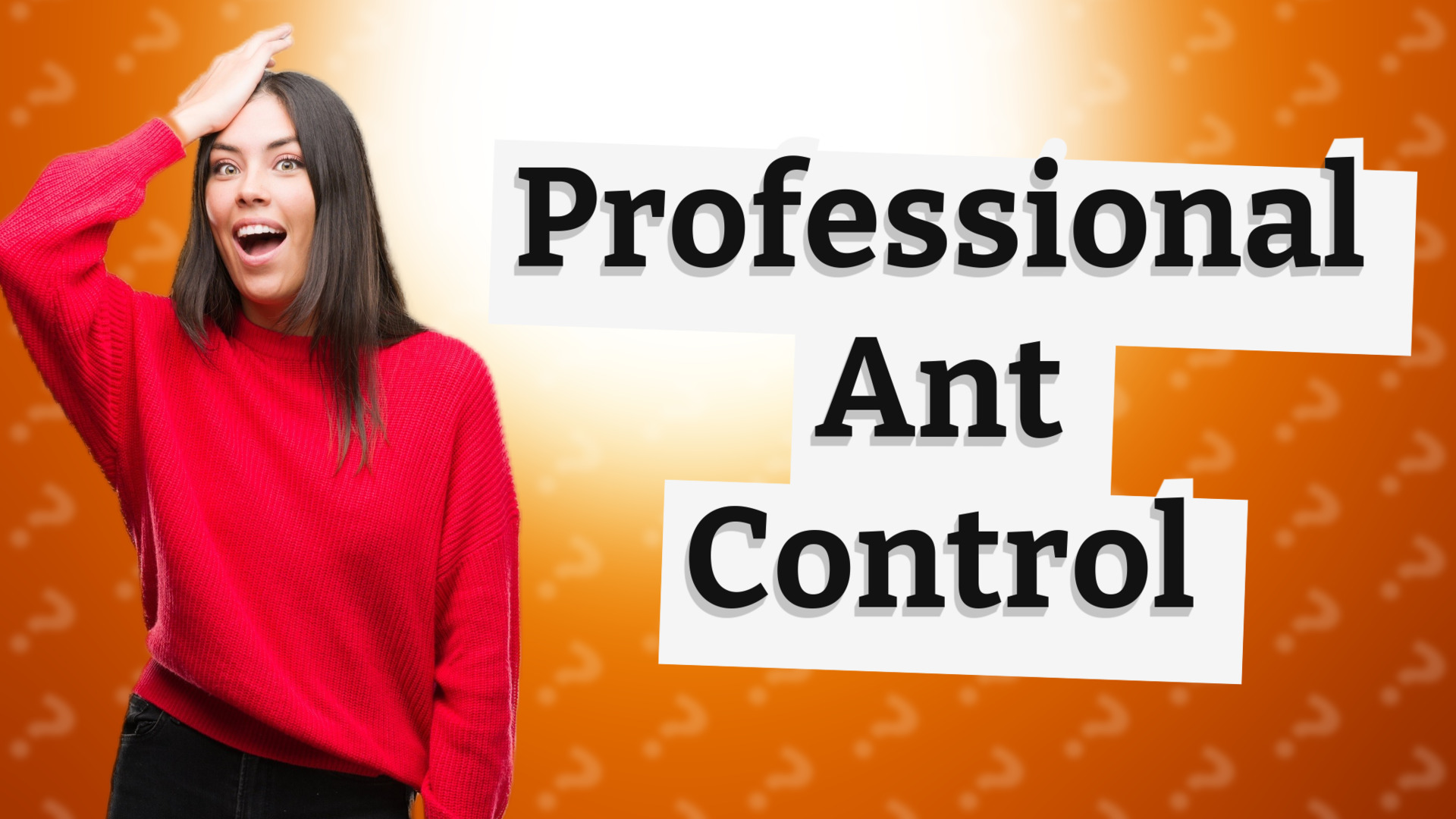 Professional Ant Control