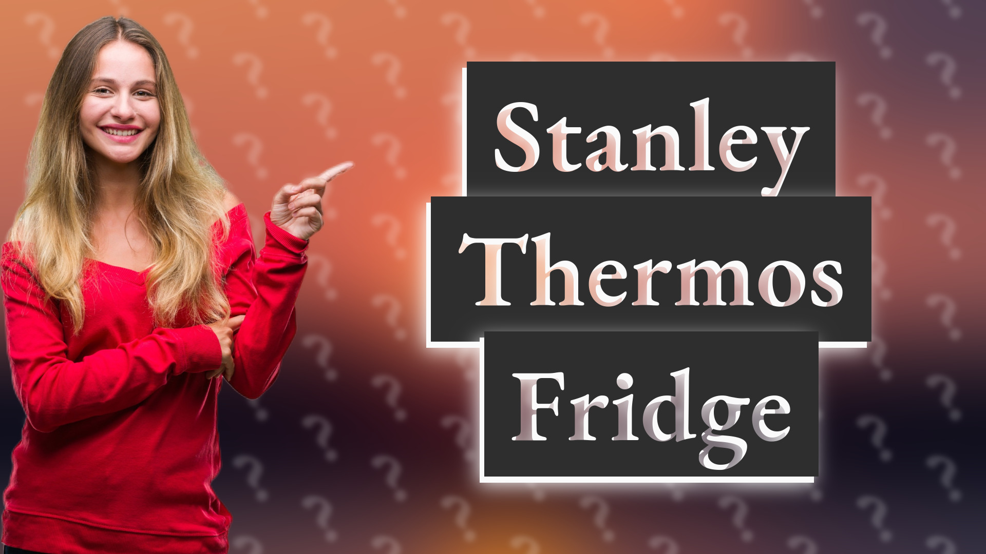 Stanley Thermos Fridge