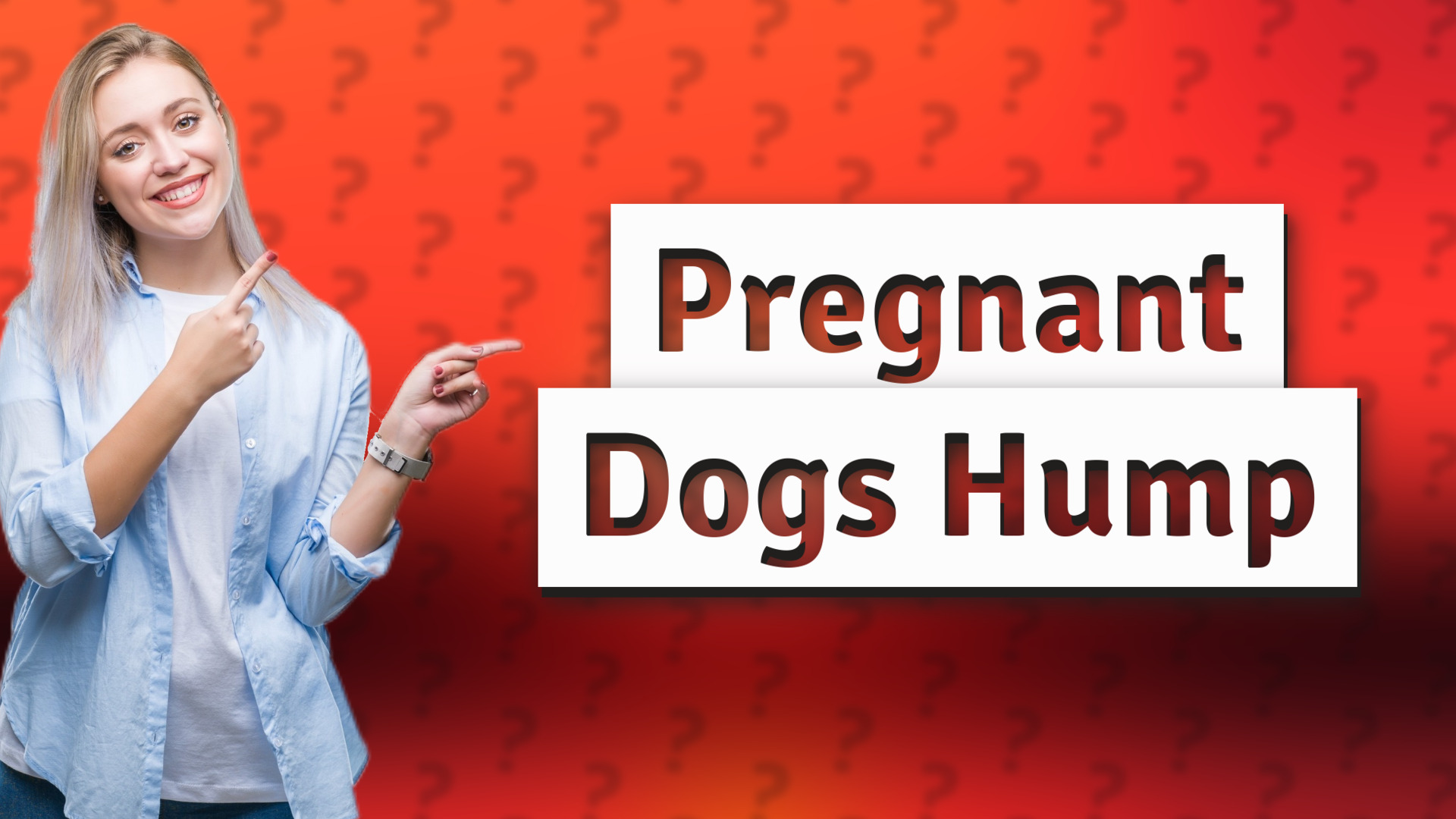 Pregnant Dogs Hump