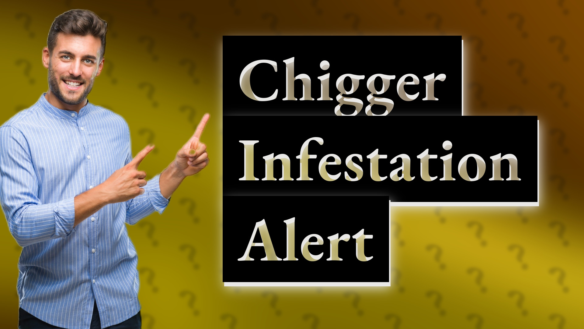 Chigger Infestation Alert