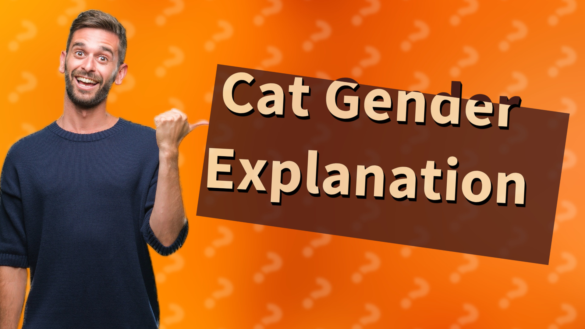 Cat Gender Explanation