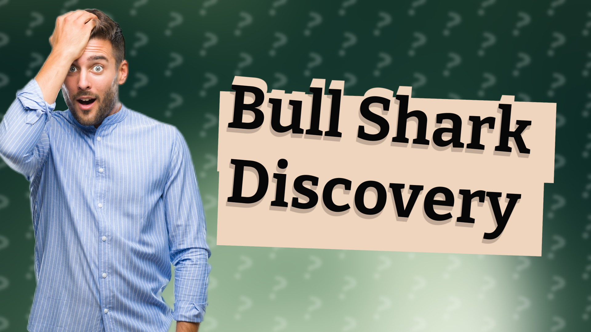 Bull Shark Discovery