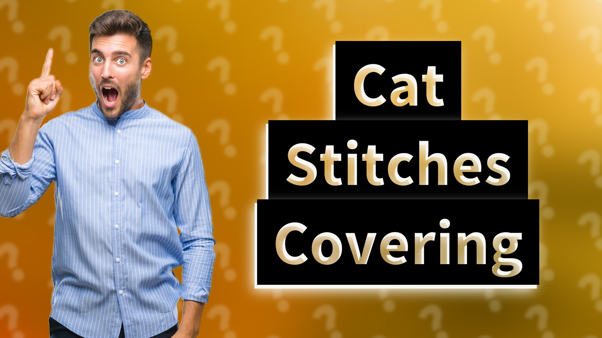 Cat Stitches Covering