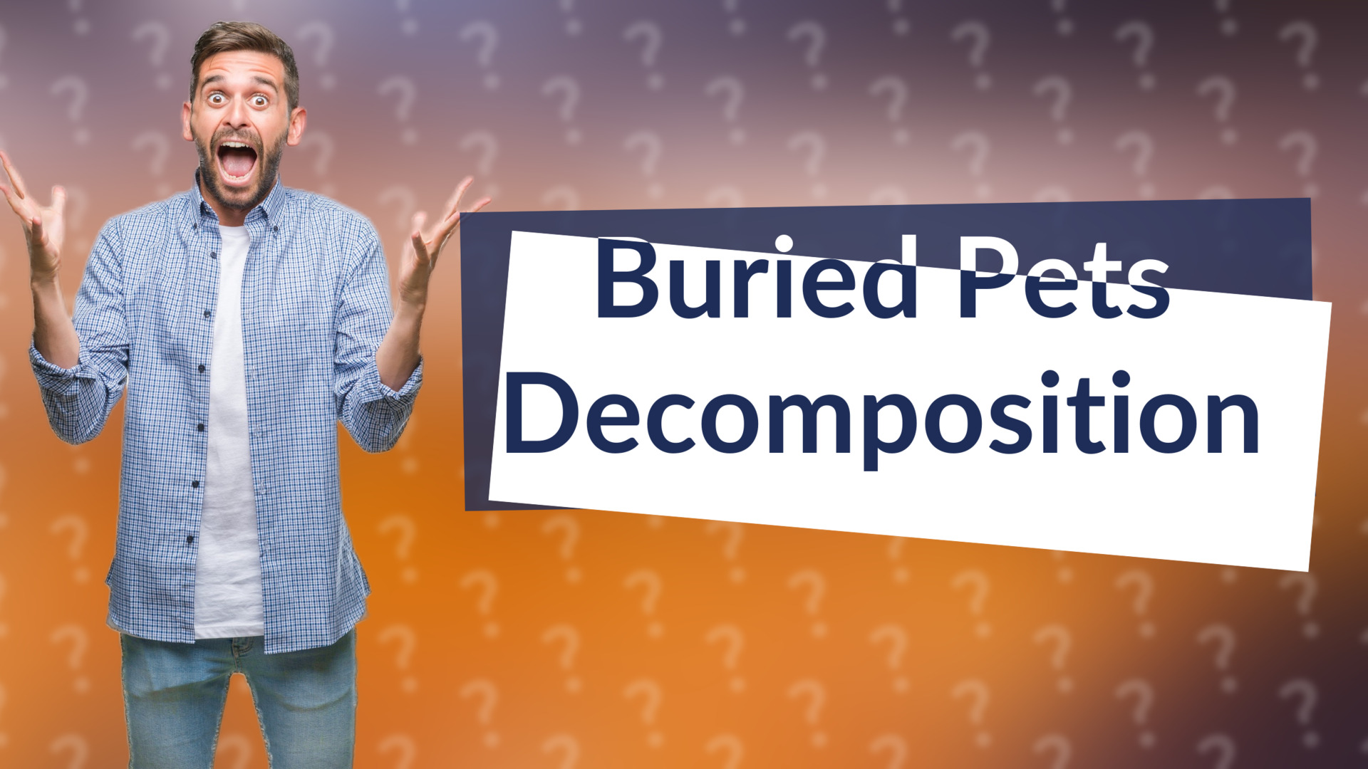 Buried Pets Decomposition