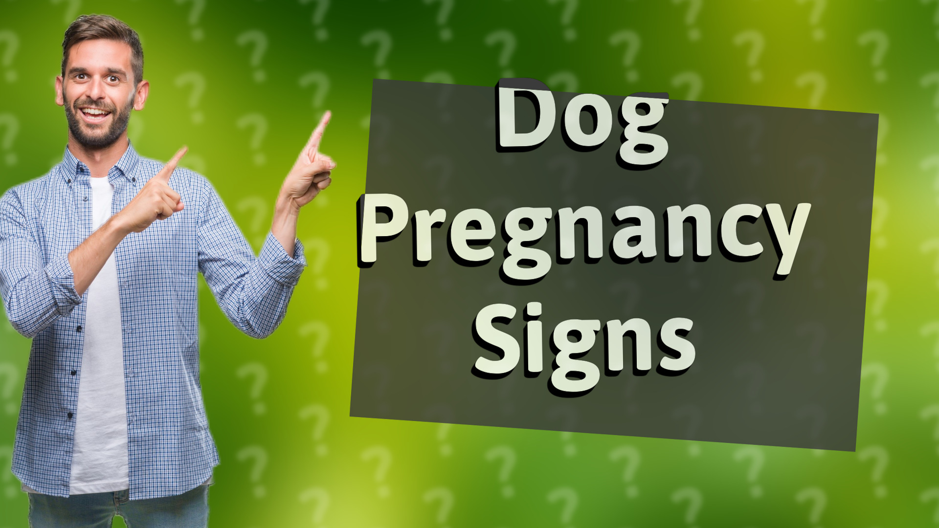 Dog Pregnancy Signs