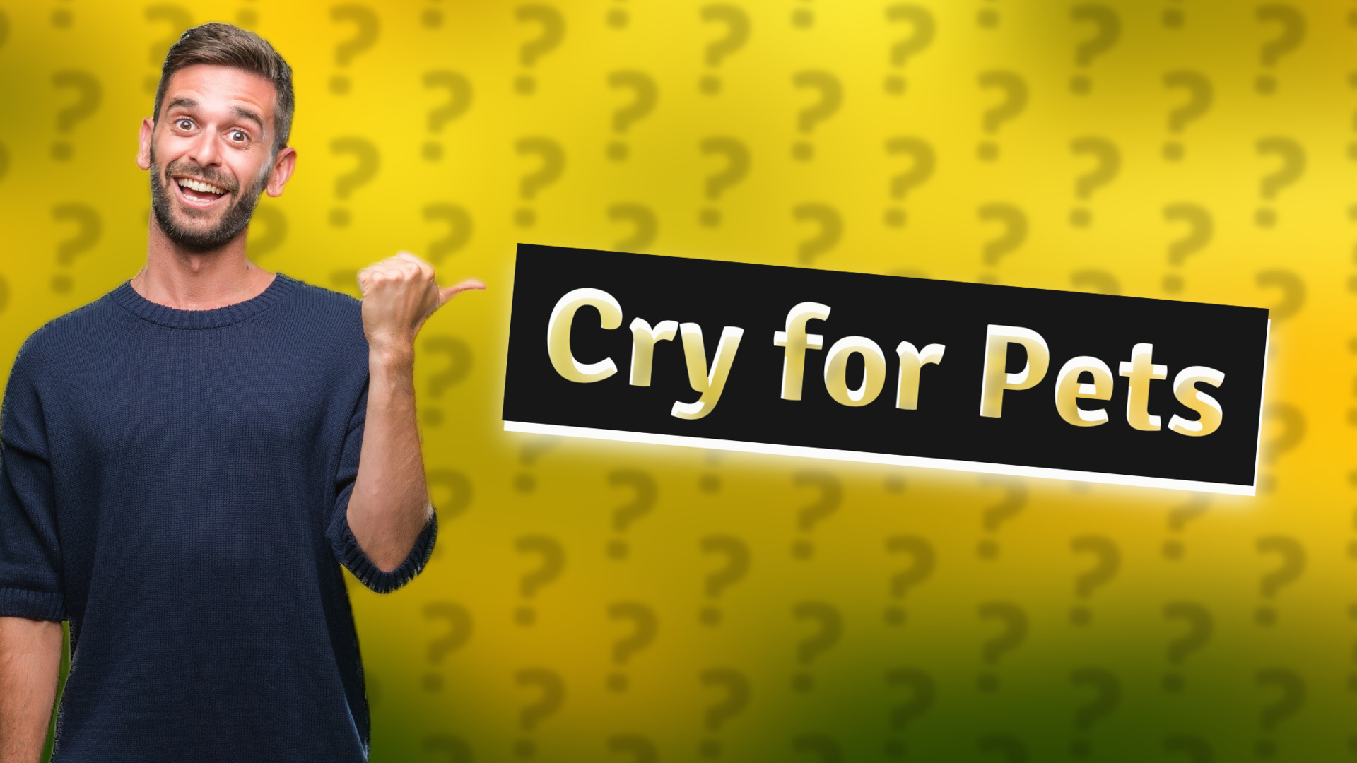 Cry for Pets