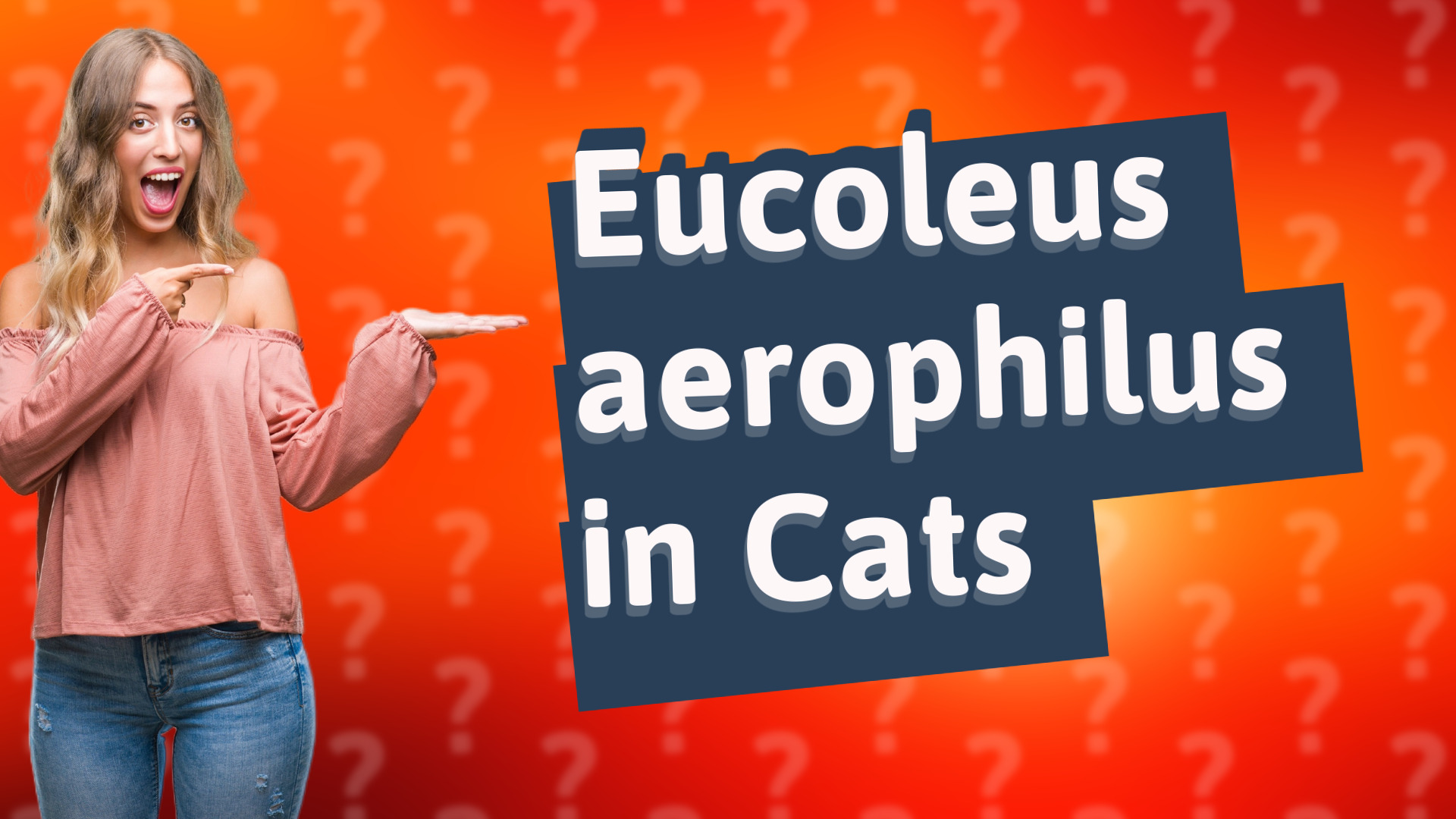 Eucoleus aerophilus in Cats