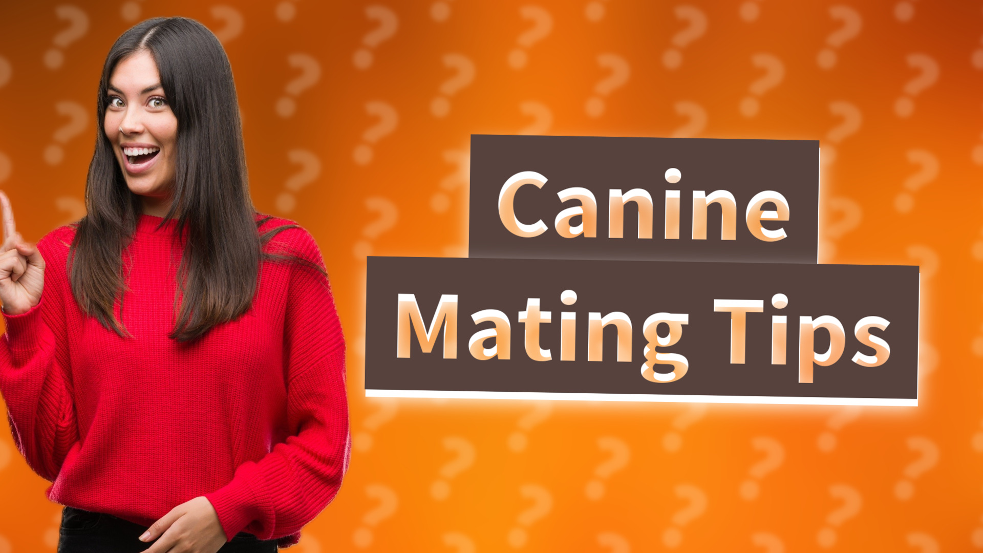 Canine Mating Tips