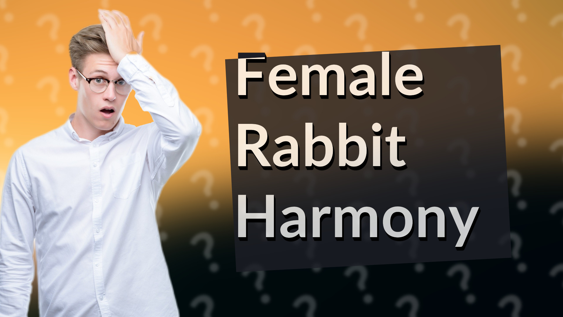 Female Rabbit Harmony
