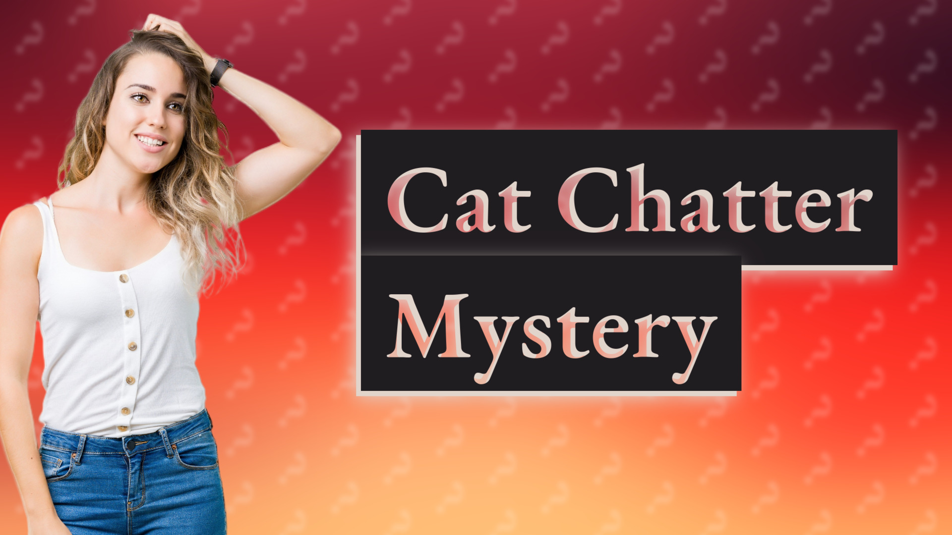 Cat Chatter Mystery