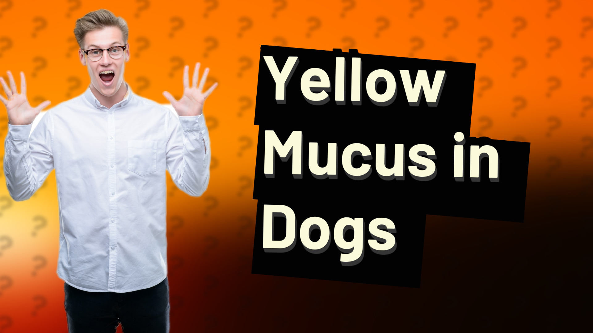 Yellow Mucus in Dogs