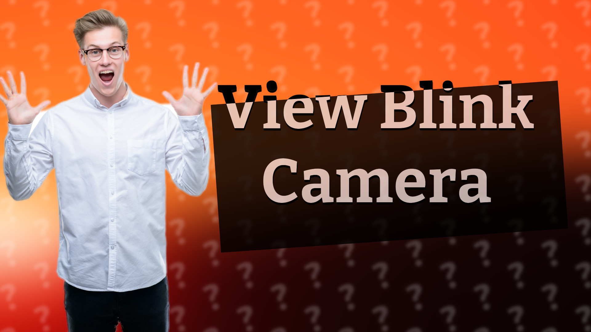 View Blink Camera