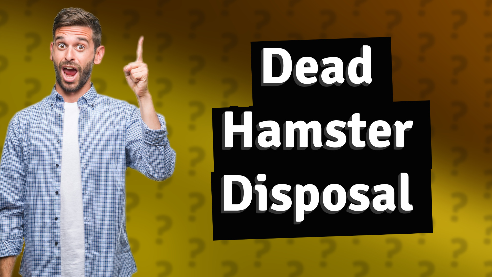 Dead Hamster Disposal