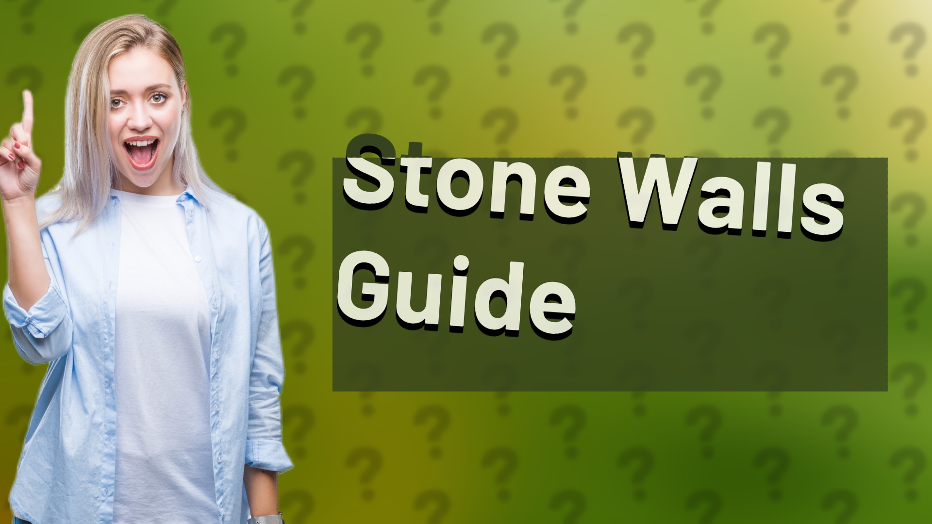 Stone Walls Guide